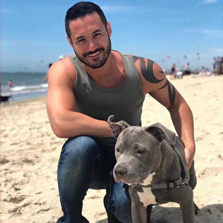 ���� 55108996 ������� ������, 41 ���, ���� ���������� � �������