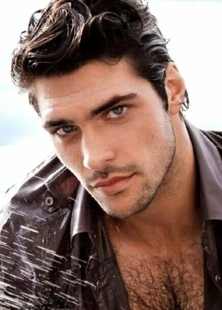 ���� 56134426 ������� ���������, 36 ���, ���� ���������� � Frankfurt Am Main