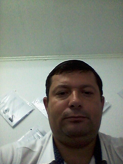  8164446  , 43 ,    