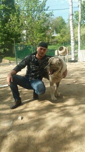 ���������� �����-���������, ���� ������� ����, 36 ���, ������������ ��� ������, ����� � ���������, c�������� ���������