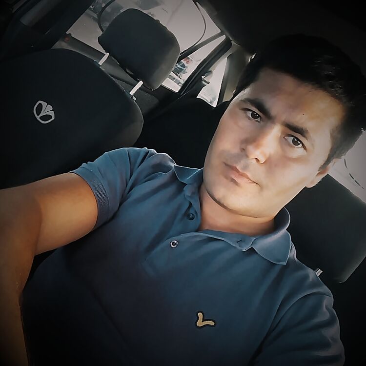  33649746  , 37 ,    