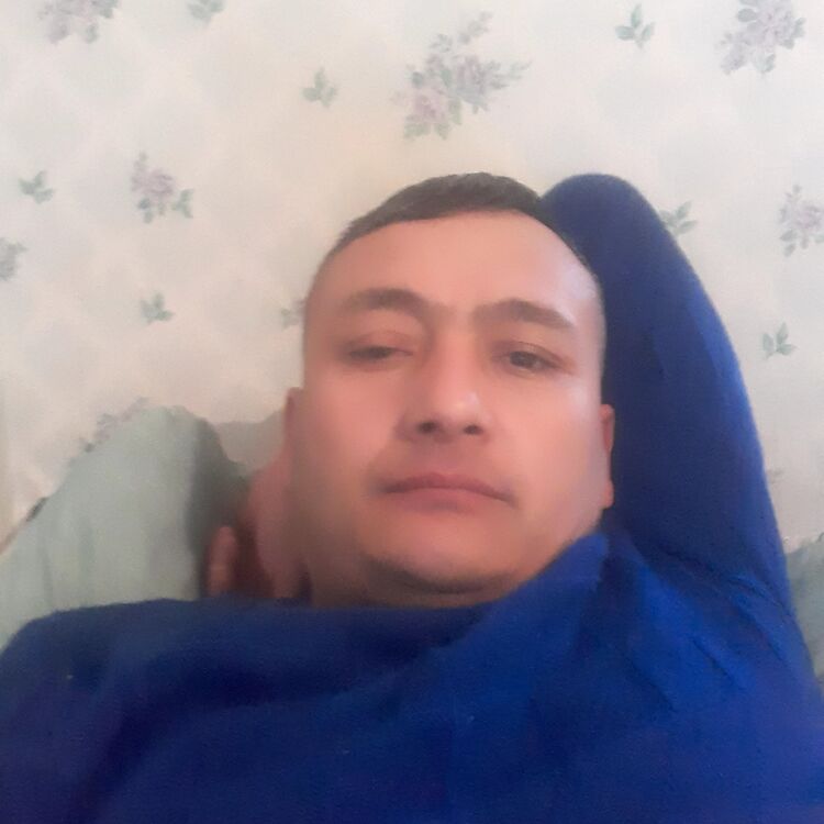  33276536  , 42 ,    
