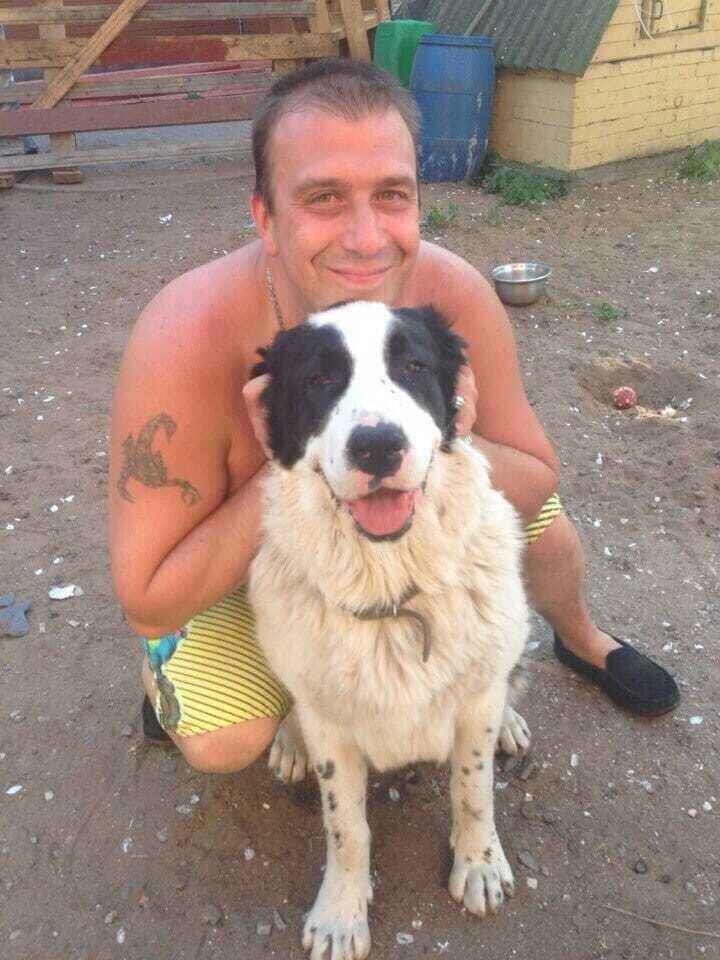  28385946  , 47 ,    -