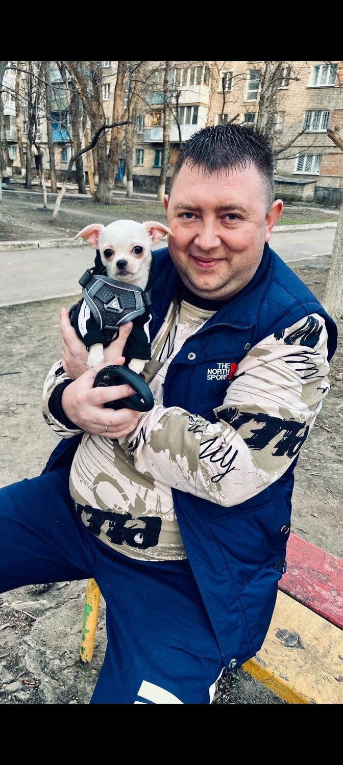 ���� 52589066 ������� ������, 40 ���, ���� ���������� � ��������