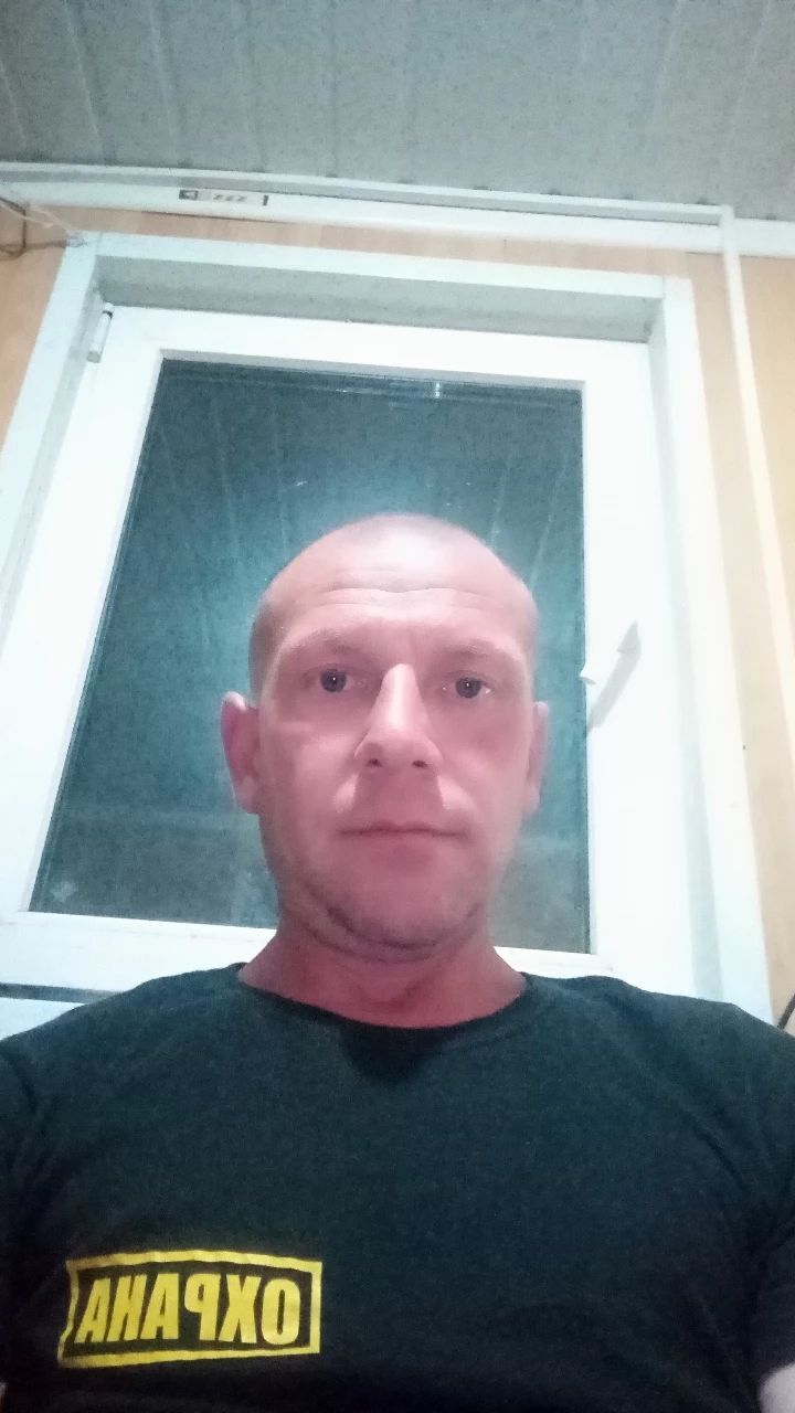  51019566  , 42 ,    
