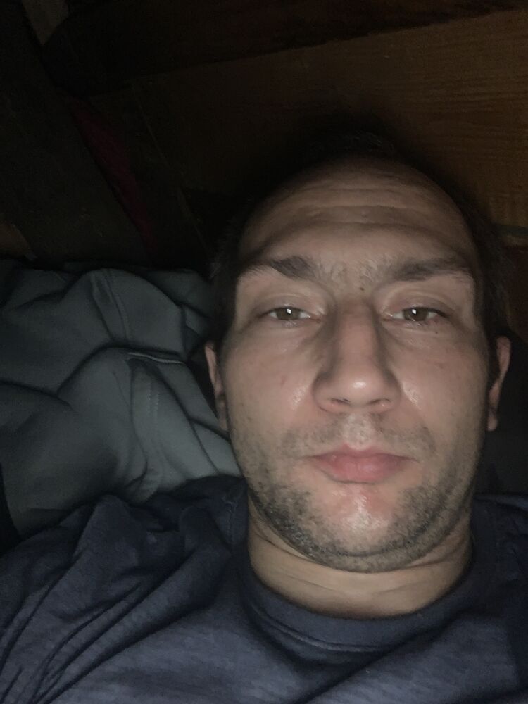 ���� 31376056 ������� �����, 36 ���, ���� ���������� � �������