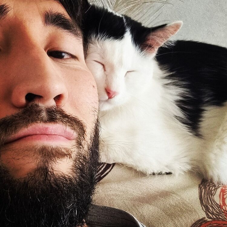 ���������� ���������, ���� ������� ������, 32 ����, ������������ ��� ������, ����� � ���������