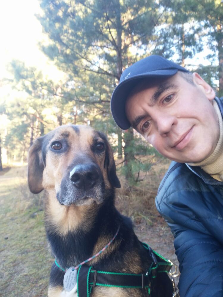 ���� 31123326 ������� ������, 55 ���, ���� ���������� � �����-����������