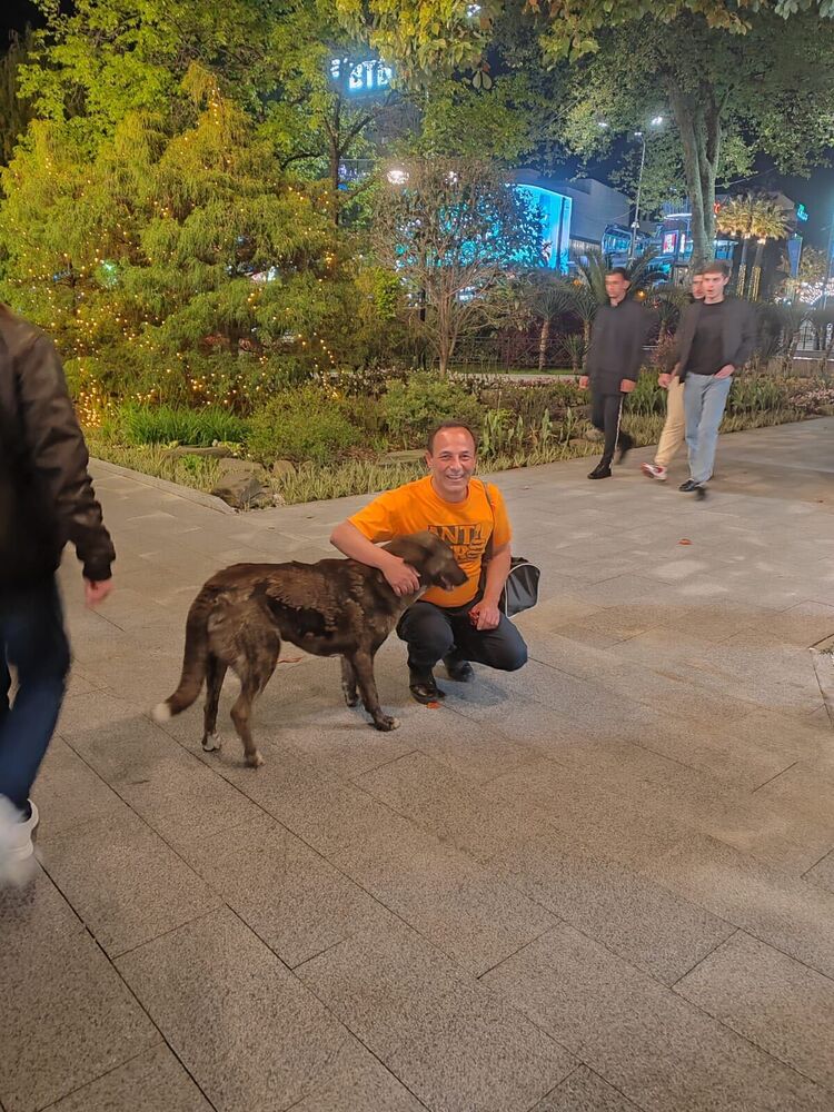 ���������� �����-���������, ���� ������� ������, 51 ���, ������������ ��� ������, ����� � ���������