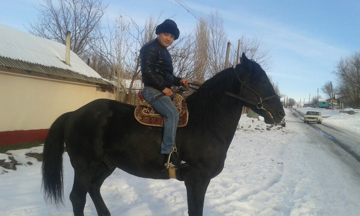  12926136  Zhamol, 41 ,    