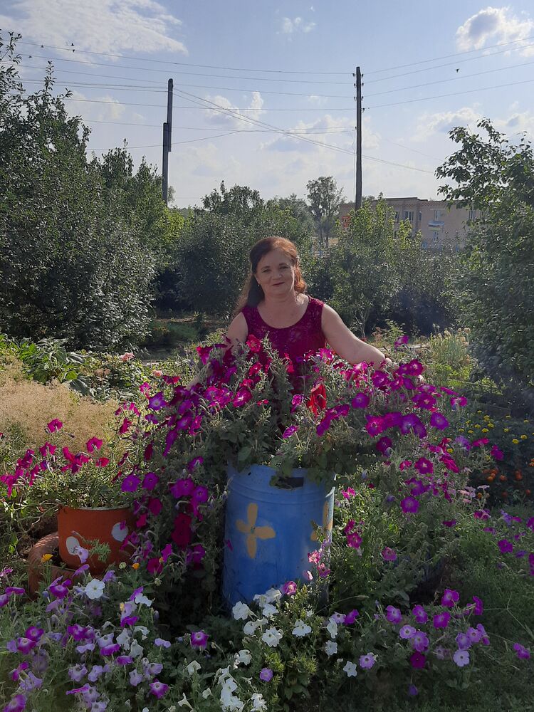 ���� 40374046 ������� ������, 65 ���, ���� ���������� � ���������