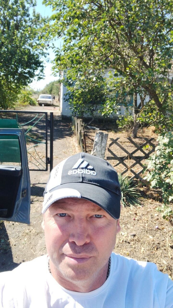 ���� 54865736 ������� ��������, 46 ���, ���� ���������� � �����������