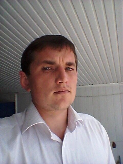  8786256  7777, 36 ,    