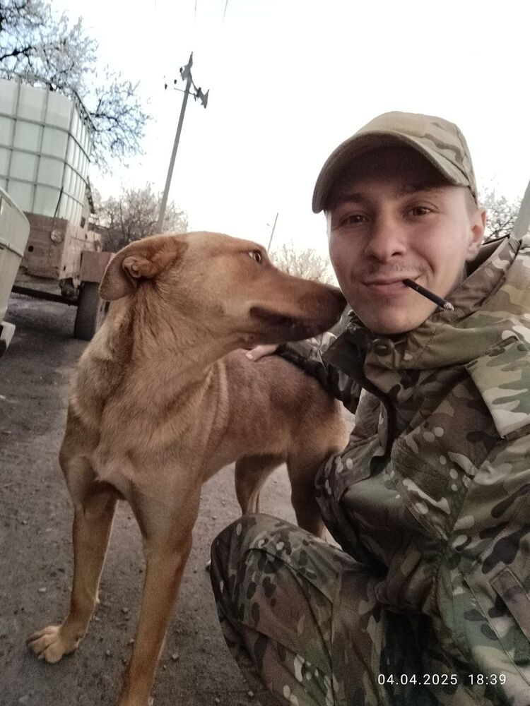 ���������� ������, ���� ����� ����, 23 ����, ������������ ��� ������, ����� � ���������