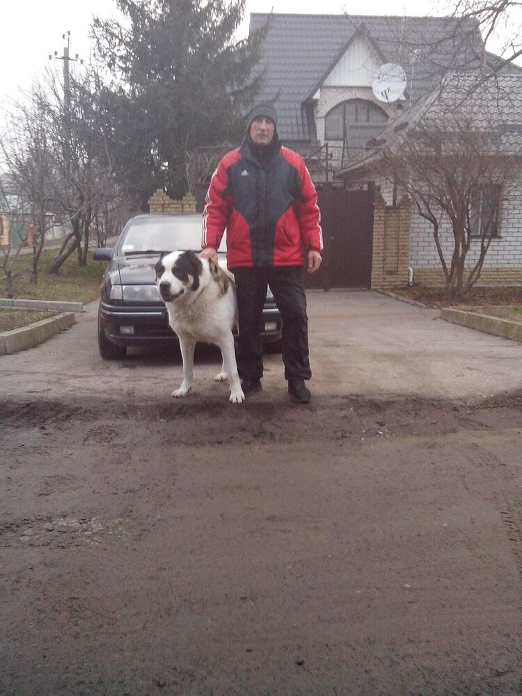  45812836  Igor, 47 ,    