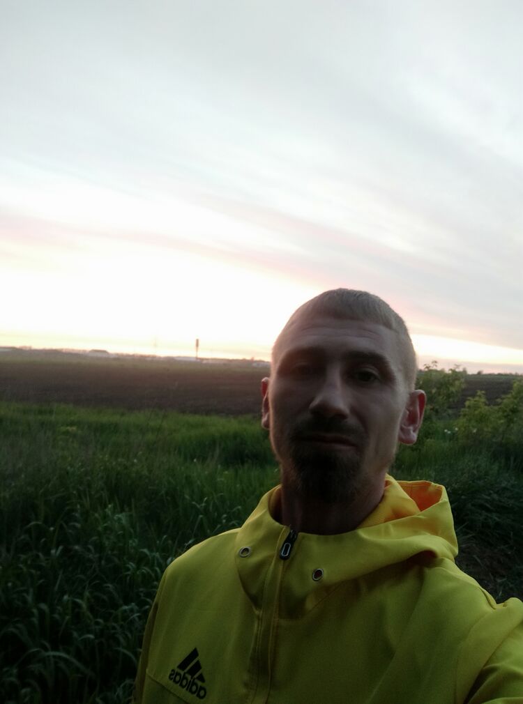  43605286  , 29 ,    
