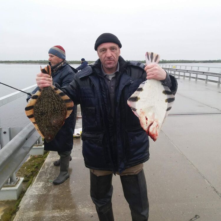 ���������� �������, ���� ������� �����, 49 ���, ������������ ��� c�������� ���������, ���������