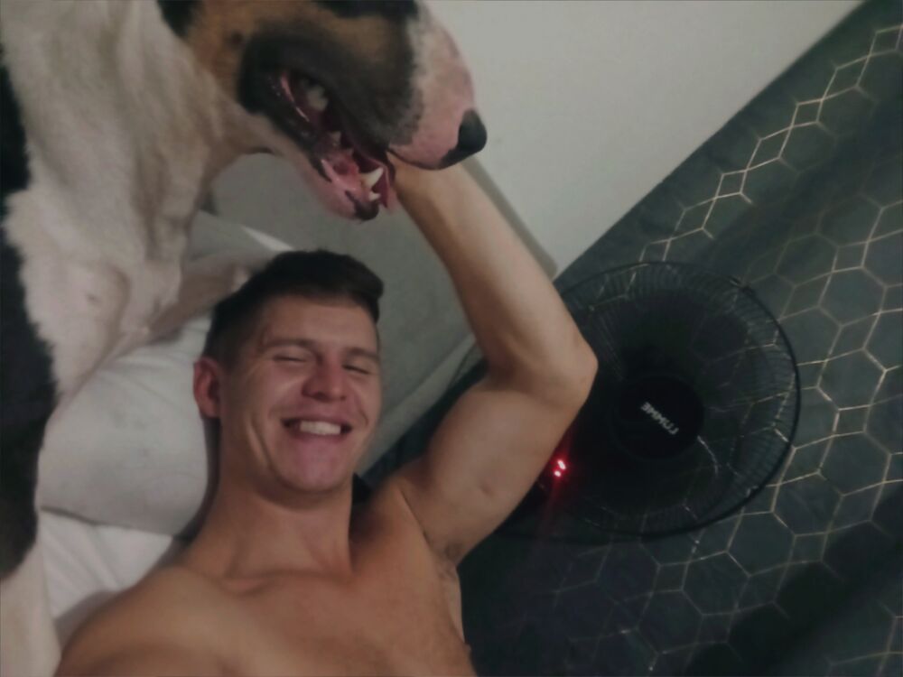 ���� 46221486 ������� ����, 26 ���, ���� ���������� � �����-����������