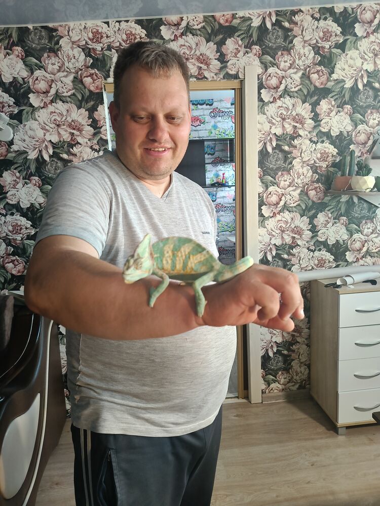 ���������� ������, ���� ������� �����, 44 ����, ������������ ��� c�������� ���������