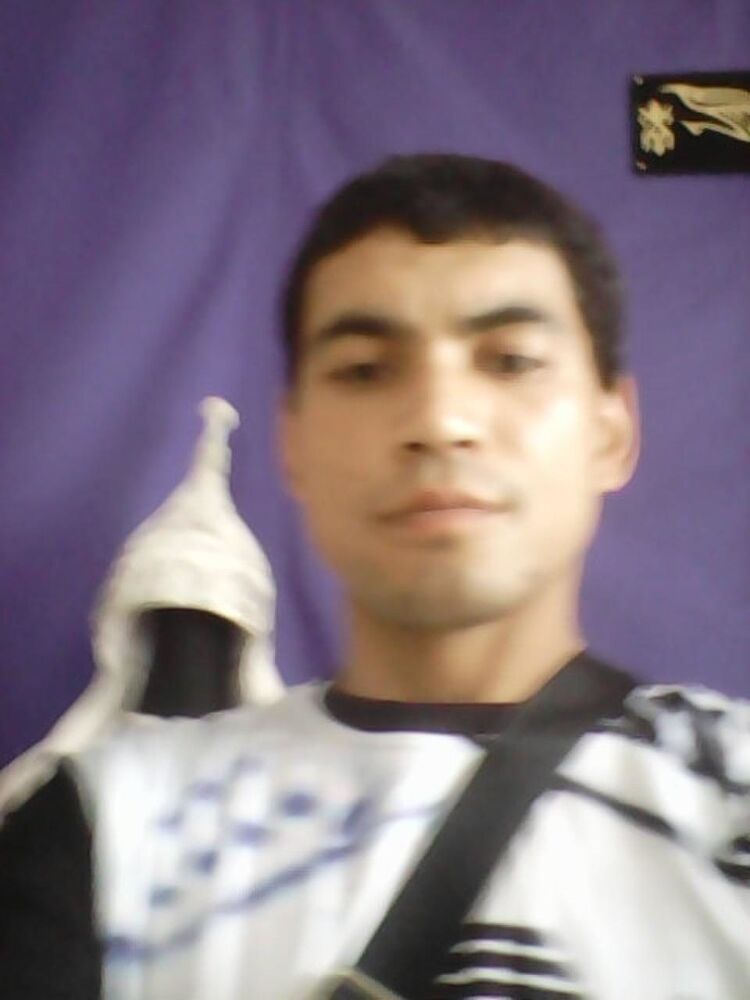  41343196  , 38 ,    