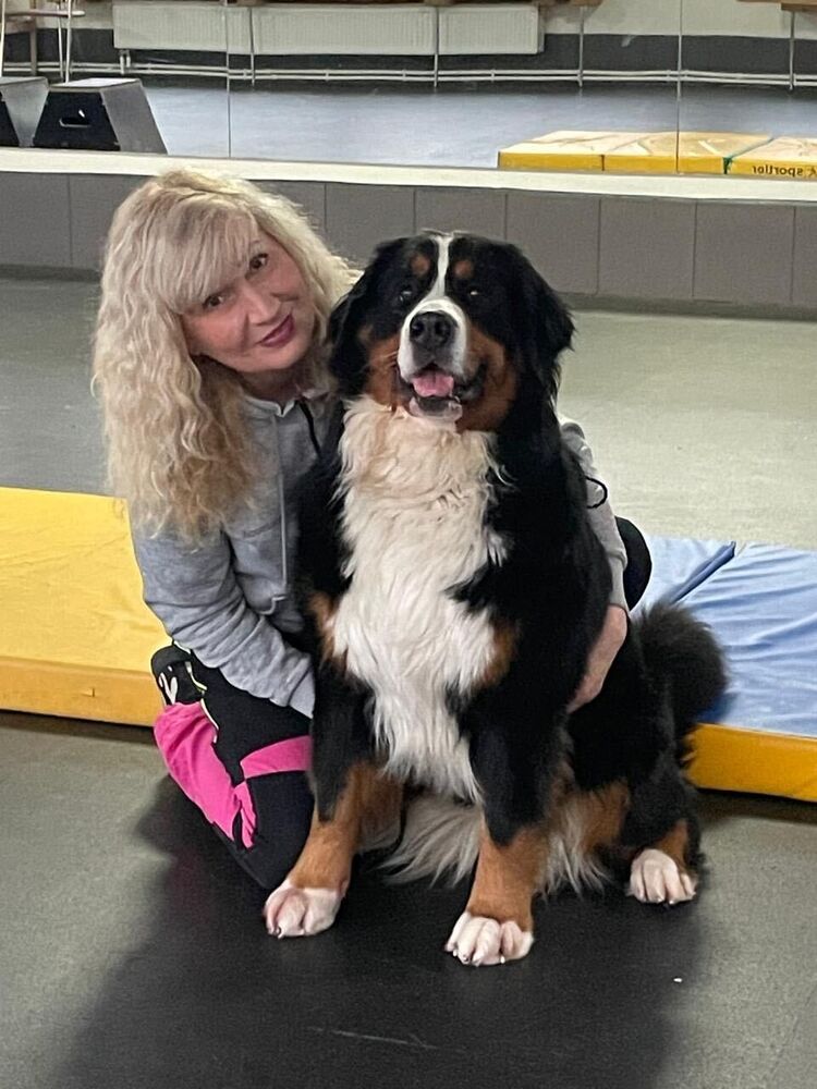 ���������� �����-���������, ���� ������� �����, 60 ���, ������������ ��� c�������� ���������