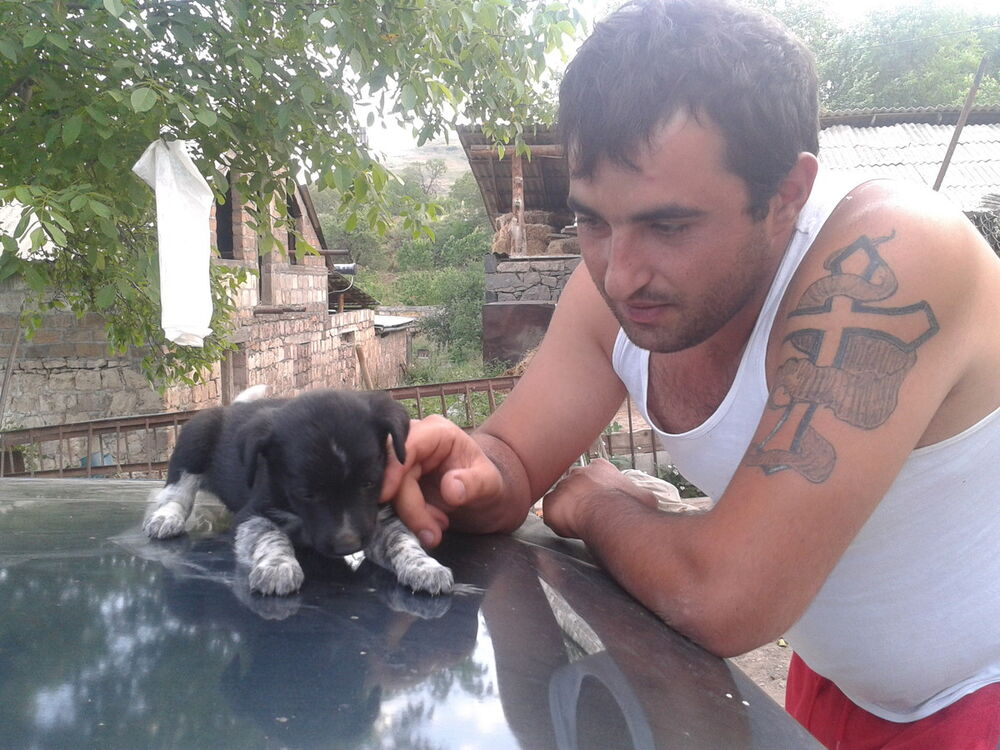  4744426  Art88, 39 ,    