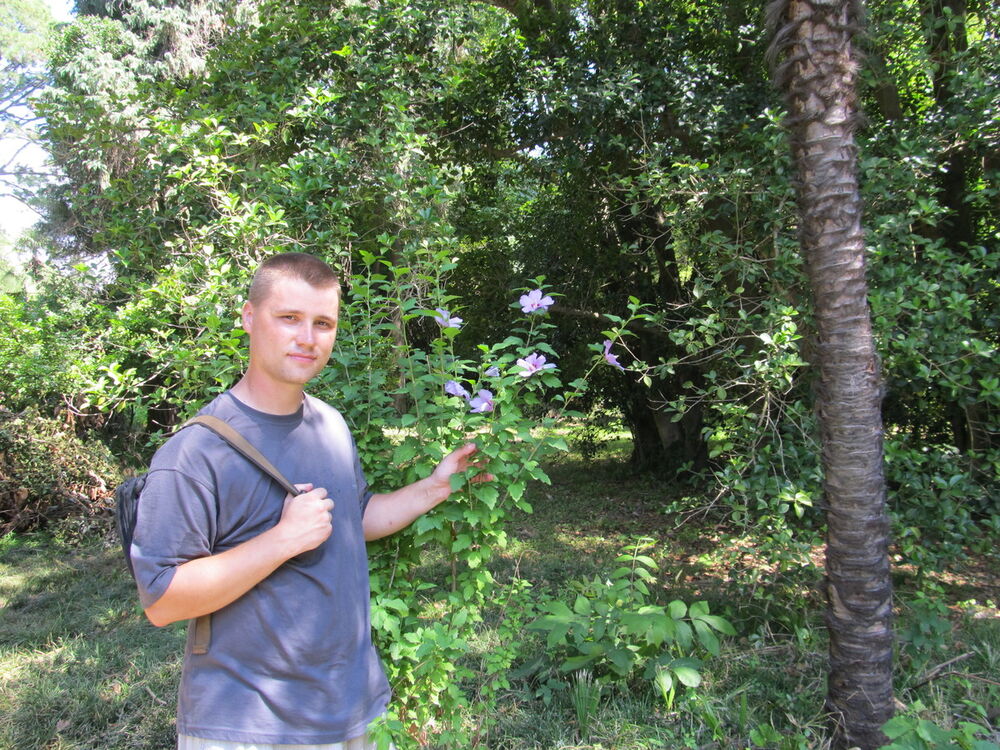 ���� 7094626 ������� ������, 40 ���, ���� ���������� � ����