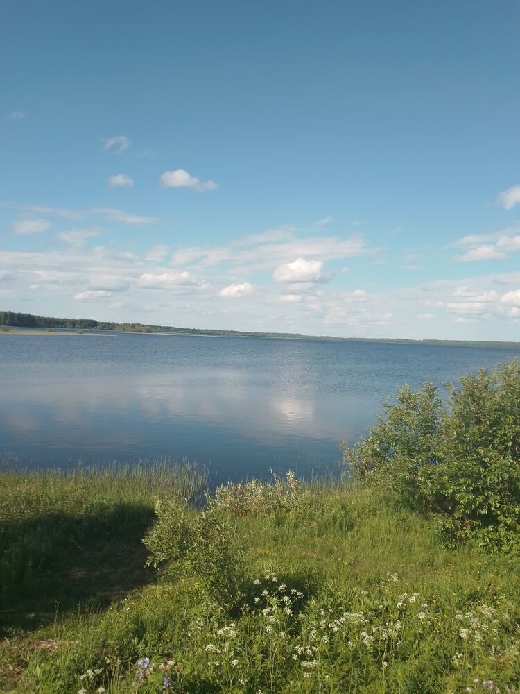  43877636  Sergey, 38 ,    