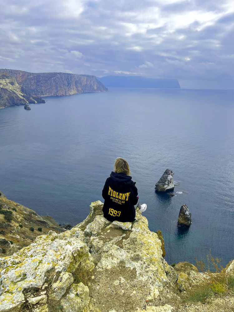  33779476  , 24 ,    -