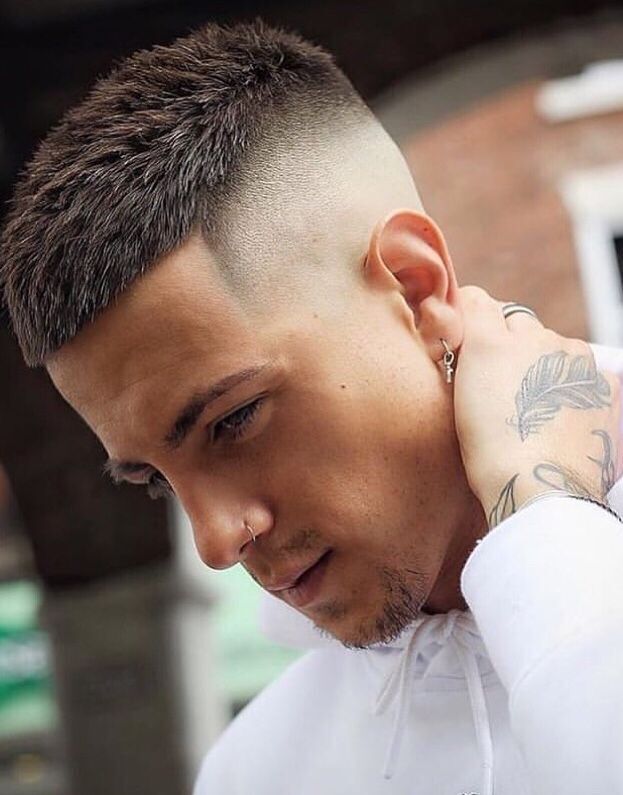 ���� 43169116 ����� ������, 24 ����, ���� ���������� � �����