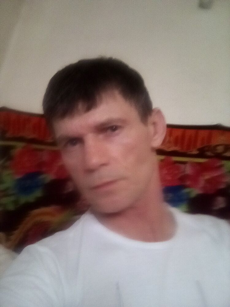  22574966  , 62 ,    