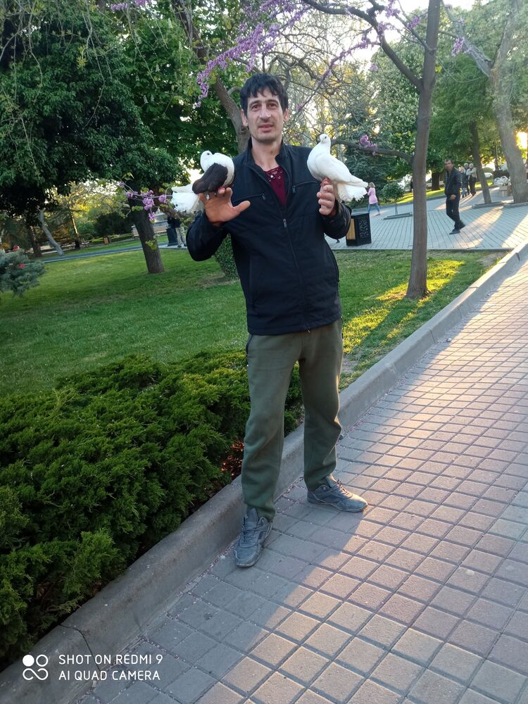 ���������� �����������, ���� ������� ��������, 36 ���, ������������ ��� ������, ����� � ���������, c�������� ���������, ���������