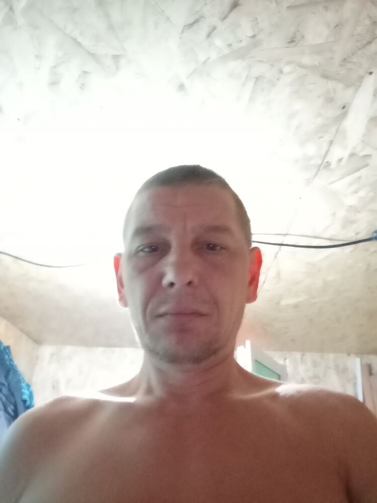  48604446  , 43 ,    