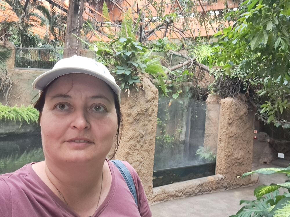 ���������� �������, ���� ������� Ta�����, 48 ���, ������������ ��� ������, ����� � ���������, c�������� ���������