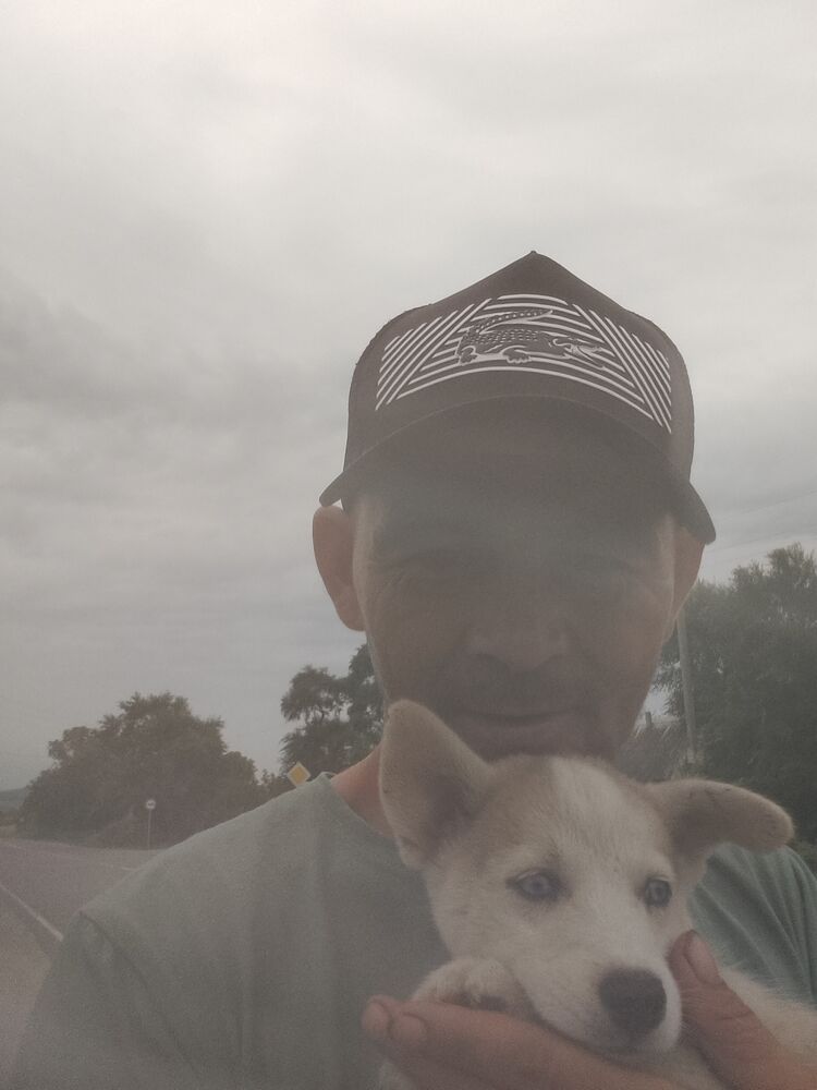 ���������� ���������, ���� ������� �����, 38 ���, ������������ ��� ������, ����� � ���������