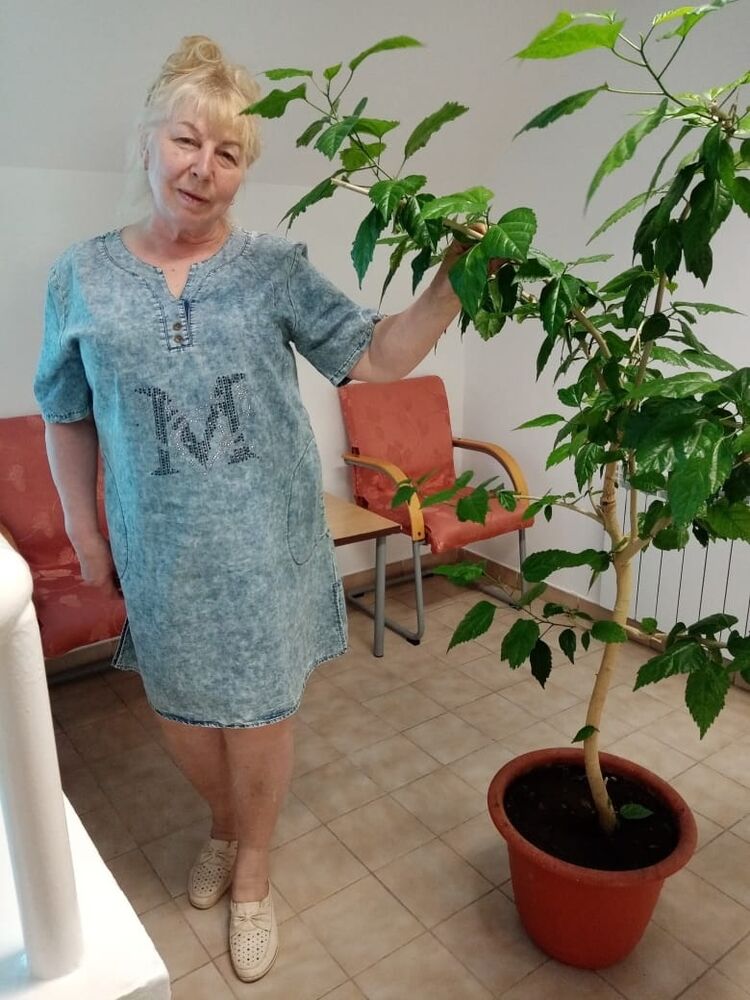  ,   , 71 ,   ,   , c 