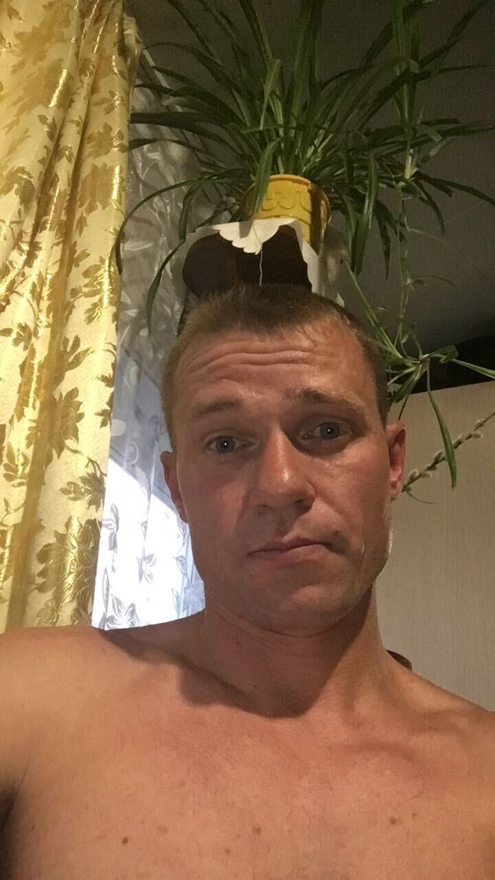  34488876  , 40 ,    -