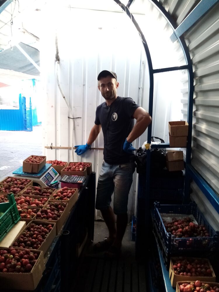 ���������� ������, ���� ������� ����, 40 ���, ������������ ��� c�������� ���������