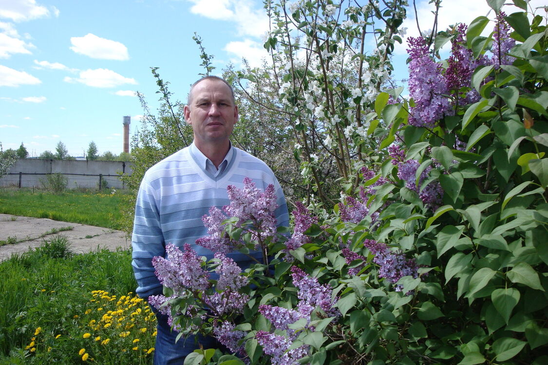 ���� 7686156 ������� ����, 55 ���, ���� ���������� � ����������