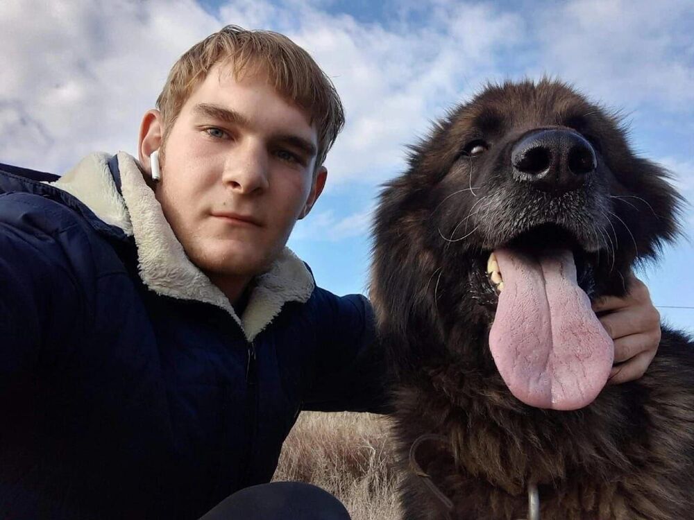 ���� 55465086 ����� �������, 24 ����, ���� ���������� � ������