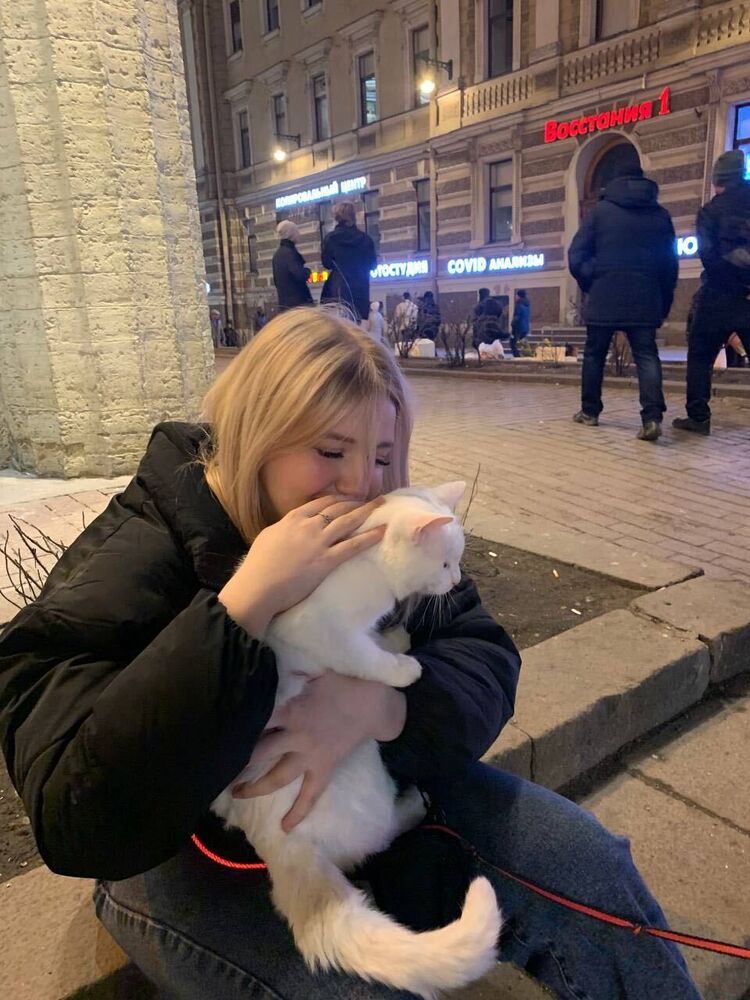  44047996  , 21 ,    -