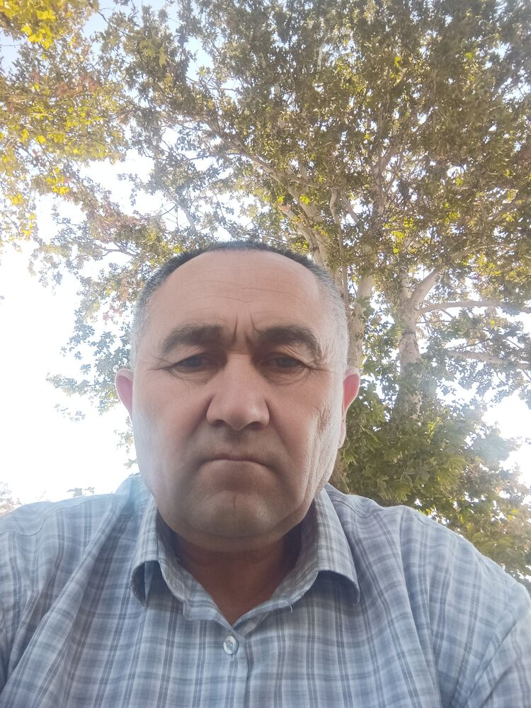 ���� 54050386 ������� �������, 56 ���, ���� ���������� � ��������