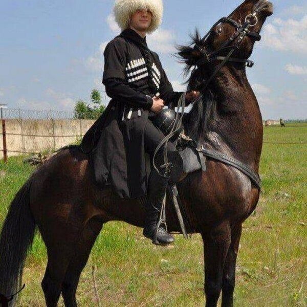 ���� 44074486 ������� ����, 38 ���, ���� ���������� � ������