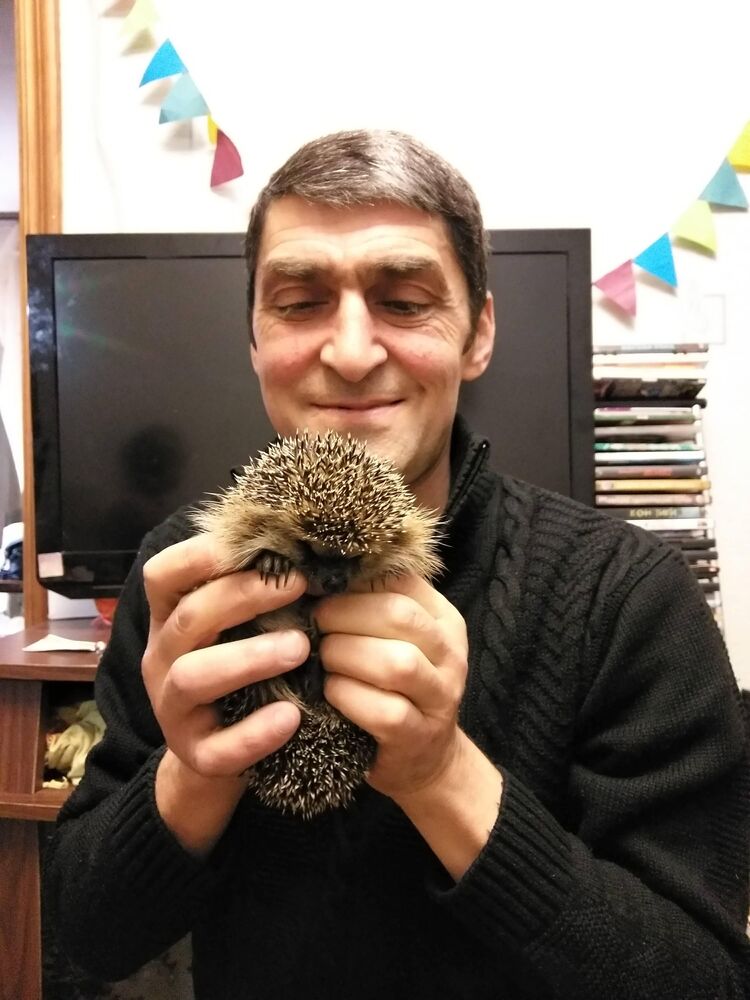 ���������� ������, ���� ������� �����, 55 ���, ������������ ��� ����� � ���������, c�������� ���������