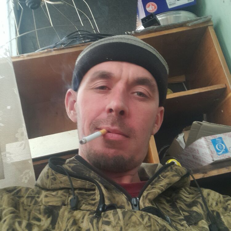  28163016  , 32 ,    