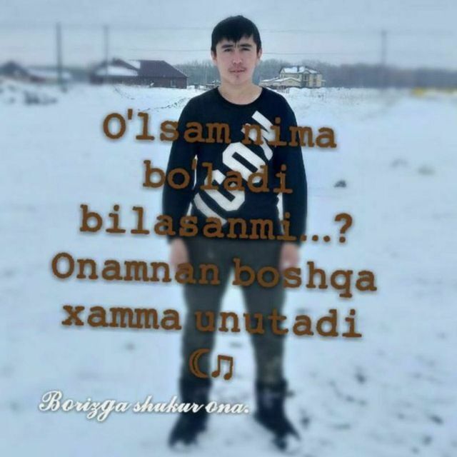 ���� 43341656 ������� �����, 29 ���, ���� ���������� � ������