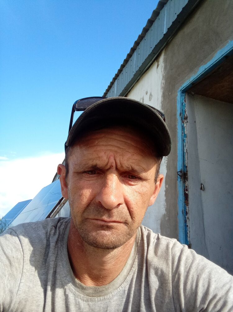  43815626  , 46 ,    