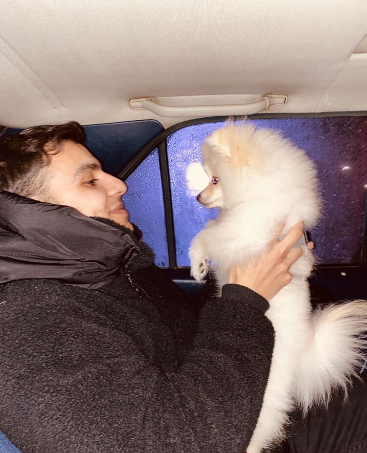  53529726  Serhan, 28 ,    