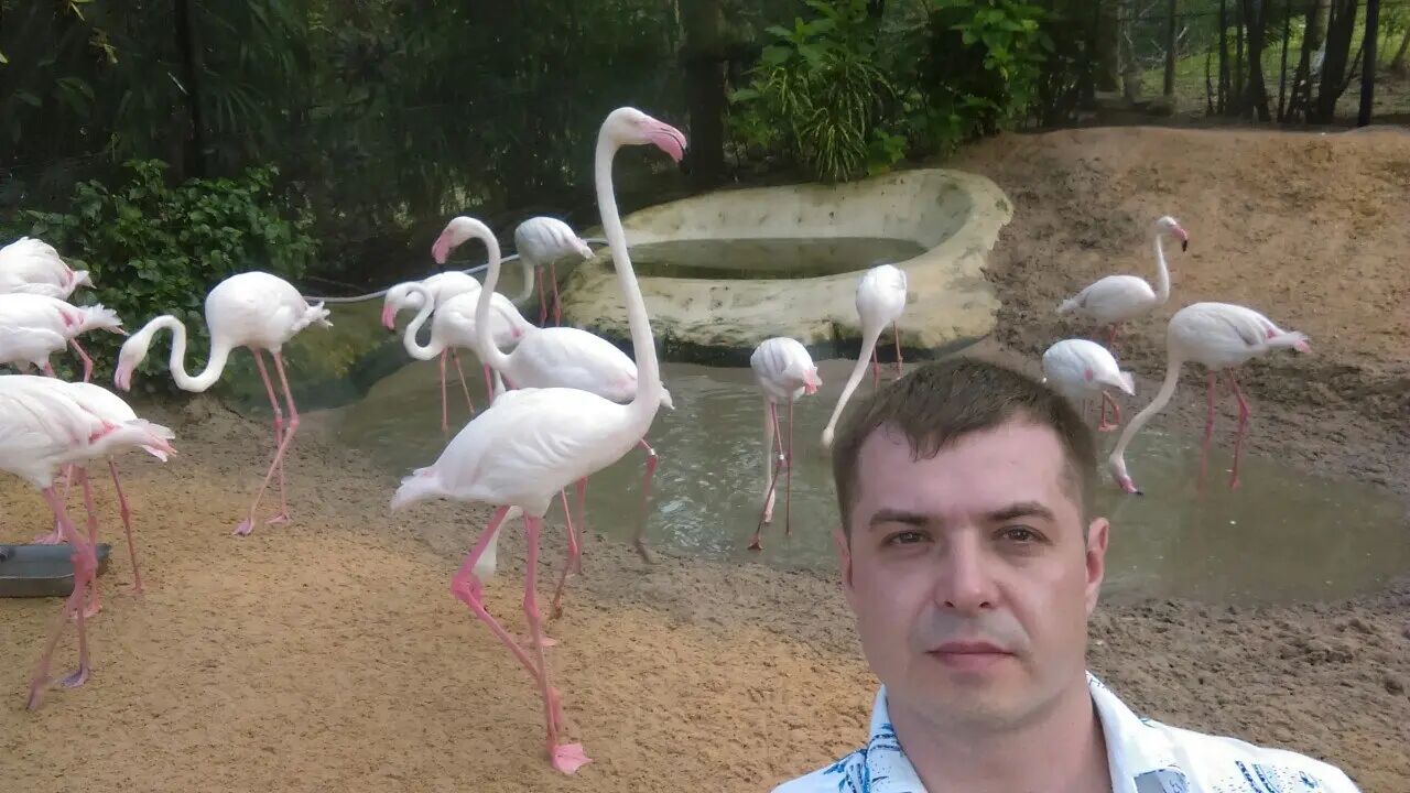 ���������� ������, ���� ������� ������, 43 ����, ������������ ��� ������, ����� � ���������