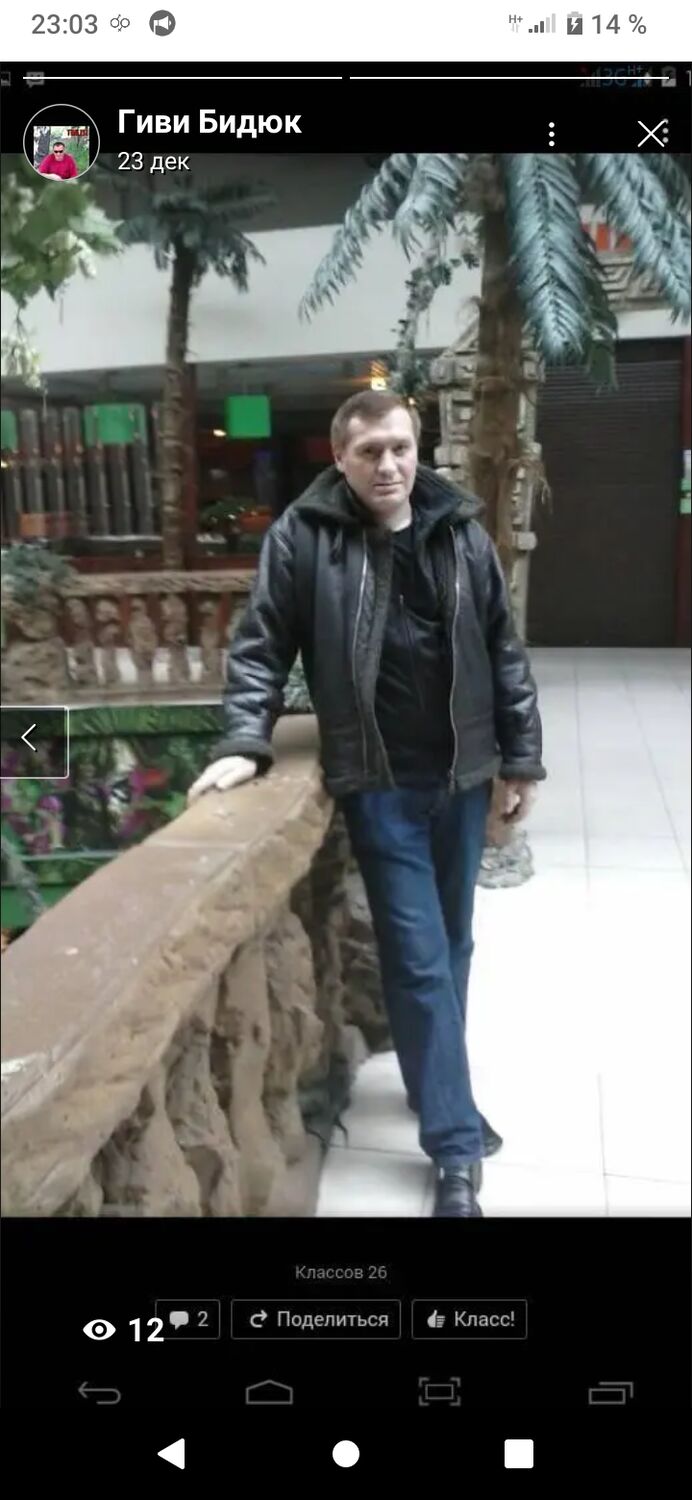 ���� 28134956 ������� ����, 44 ����, ���� ���������� � �����